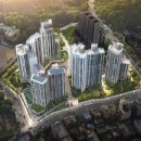 더포레스트 이미지