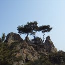 강산