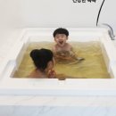 채채맘스토어
