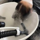 세련헤어 | 고잔동 깔끔하고 세련된 미용실 아키헤어 클리닉 후기