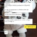 호조의주현아쿠아 | 홈다리카페 킴뉴뉴27님 후기