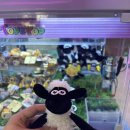 엑스탑 오락실 이미지