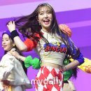포토조아 이미지