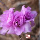 한창농장 이미지