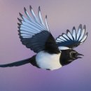 디지털 드로잉(학생) 이미지