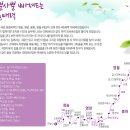 낙동정맥트레일(2코스-봉황의 터 탐방길) | 외씨버선길1구간 ㅡ 주왕산 달기약수탕길