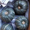 추억소환이벵 모헌님의 단호박&amp;당근 이미지