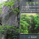 주룡나루 | 개화산 들레길(22. 5. 7일)