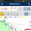 와이브릭스