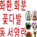 해동이용원 네이버블로그