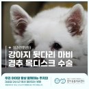 두류동물병원 이미지