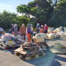 제주감귤농업협동조합위미지점 이미지