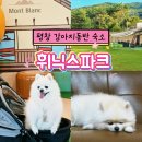 퐁퐁게임랜드 | 휘닉스파크 그린동 펫룸 스탠다드 객실 페텔 앱 예약 리조트 시설, 치킨&amp;피자 산책로 내돈내산 솔직후기