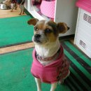 고현중학교 이미지