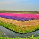 꽃의나라 이미지