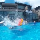 종달스토리 이미지