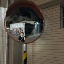 원당사거리 선사박물관 정문 횡단보도 | 3월 대만 혼자 여행 기록 4 (타이난) - [치메이박물관/쓰차오녹색터널/안평수옥/안평노가/아차이우육탕...