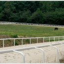 원당목장 이미지