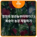 영천농부