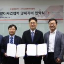 드림라인