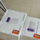 현대농산물 | 2025 경기 임산부 친환경 농산물꾸러미 구매 후기