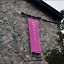 가톨릭대학교 성빈센트병원 이미지