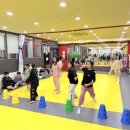 용인대 스타태권도장 이미지