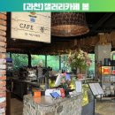 [과천]과천맛집 갤러리카페봄 후기｜서울랜드, 과천 국립현대미술관 근처 파스타 맛집