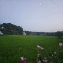 촌캉스독채외갓집 이미지