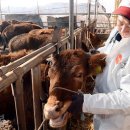 당진종합 동물병원 이미지