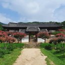 병산길, 전서로(풍천면) 네이버블로그