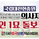 의사자묘 1인1묘 돌보기 (매월2째주 일요일 모임) 이미지