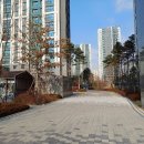 지축중학교 이미지