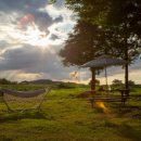 장거리농장 이미지