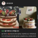 포티포티투 | 영광 느좋카페 추천 | ‘포티포티투’ 케이크 맛집 내돈내산 후기 🍰✨ (분위기+맛 둘 다 인정)