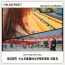 플레이랜드 | 레고랜드 스노우플레이 브릭토피아 라운지 이용후기 연간이용권 실물카드