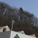 [용인 바베큐장] 2월의 마지막을 해밀리아에서 행복하게!🍖 신선한 고기+ 분위기 좋은 바베큐장💛