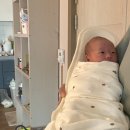 오디션2노래연습장 이미지