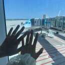 수내1동 주민센터 | 신혼부부의 혼인신고 전입신고 후기ㅣ어디가서 어떻게 해야돼요? 준비물 증인 서류 처리기간 구청 주민센터