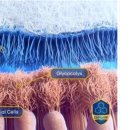 으뜸50안경 장림시장점 이미지