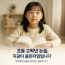 (비대면)책이좋아지는 독서논술 2 | 초등 고학년 논술, 지금이 골든타임입니다! 독서에서 논술로 넘어가는 결정적 시기