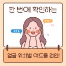 미추홀해독센터 | [구월동 헬스장] 여드름, 대체 넌 왜 거기에ㅠㅠ 피부 부위별 원인 &amp; 해결책!