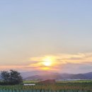 영해목장 이미지