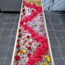 삼일병원 이미지