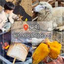 유동농장 | 용인 가볼만한곳 헤븐온어스 아이랑 동물체험농장 즐기기