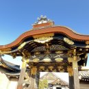 궁전온천 | 교토 니조성 입장료 위치 총정리｜ 니노마루 궁전과 쇼군의 역사 체험