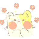 정헤어살롱 이미지