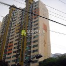 사기막골로150번길 Daum카페