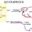 길항작용과 킬레이트 이미지