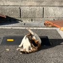 삼성시장 배수펌프장 이미지